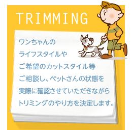 ドッグガーランドのロリミングは、ワンちゃんのライフスタイルやご希望のカットスタイル等ご相談し、ペットさんの状態を実際に確認させていただきながらトリミングのやり方を決定します。