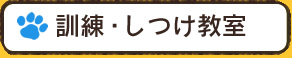 訓練・しつけ教室