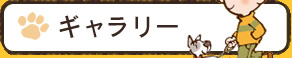 ギャラリー