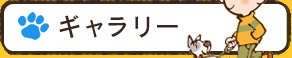 ギャラリー