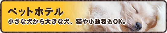 ペットホテル