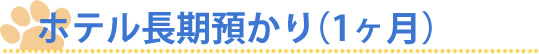 ホテル長期預かり（1ヶ月）