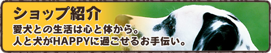 ショップ紹介
