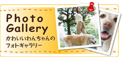 Photo Gallery