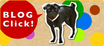 BLOG Click!