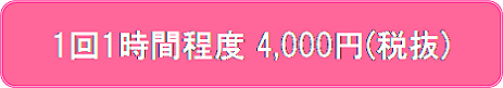 1回1時間程度 4,000円(税抜)