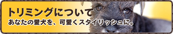 トリミングについて